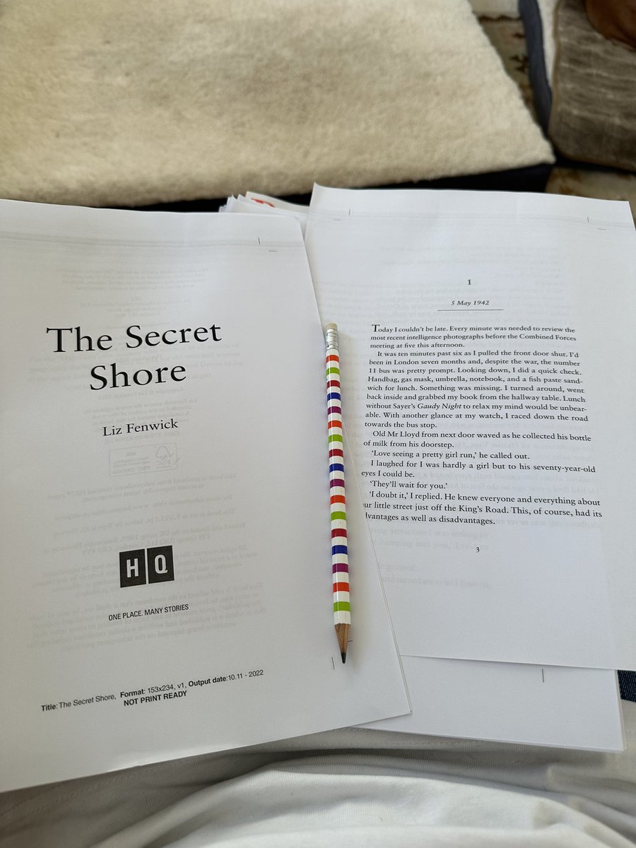 Liz Fenwick tweet media