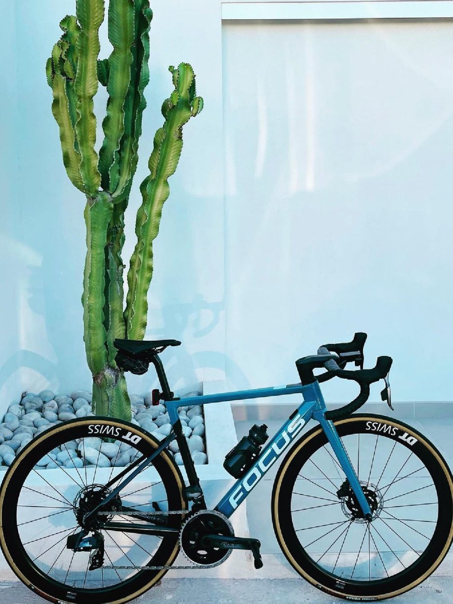 With the IZALCO MAX, you get everything out of your Sunday ride, even on cold autumn days 🍁🍂⛅
As winter approaches: Are you Team Outdoors or Team Zwift?

#focusbikes #izalcomax #roadbike #ridebeyond #ridetogether