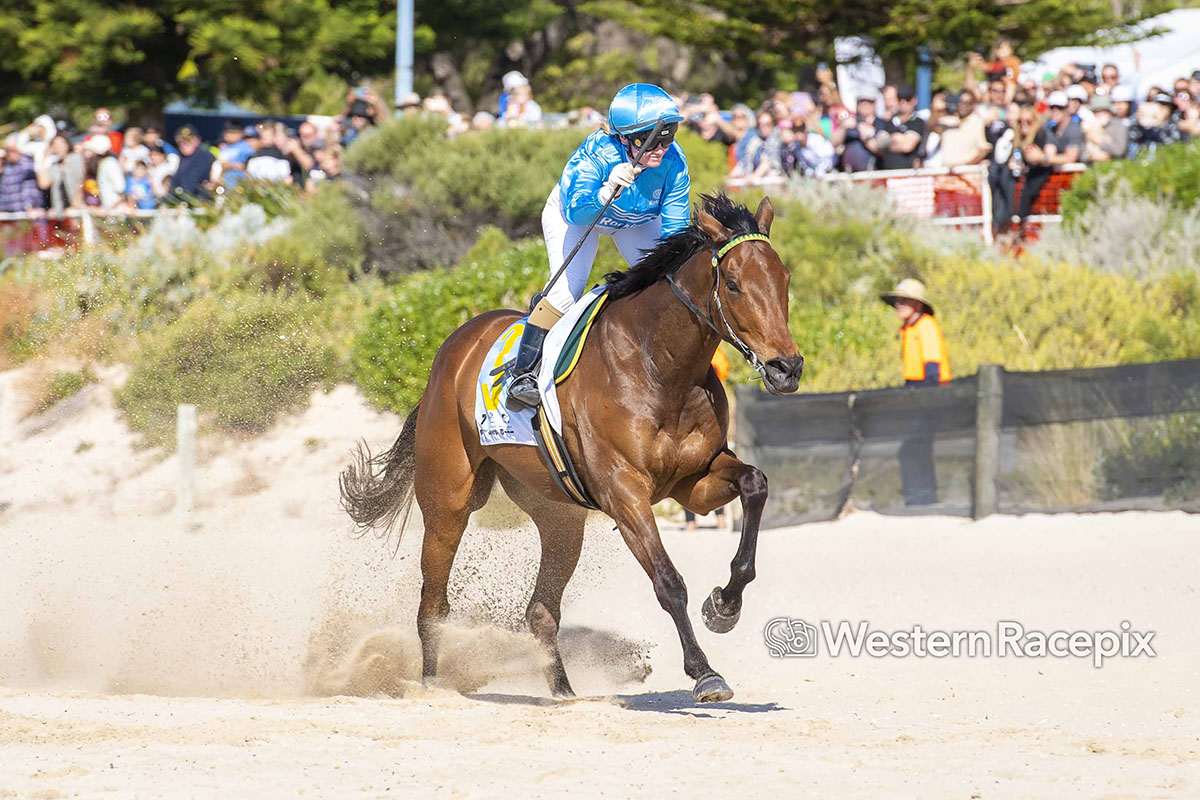 WesternRacepix's tweet photo. DECOY NOXIOUS wins the 2022 Channel 7 Rockingham Beach Cup! #WesternRacepix #RockinghamBeachCup
More πΈ https://t.co/XhRFkk00xX https://t.co/C3Jg2nlfmX