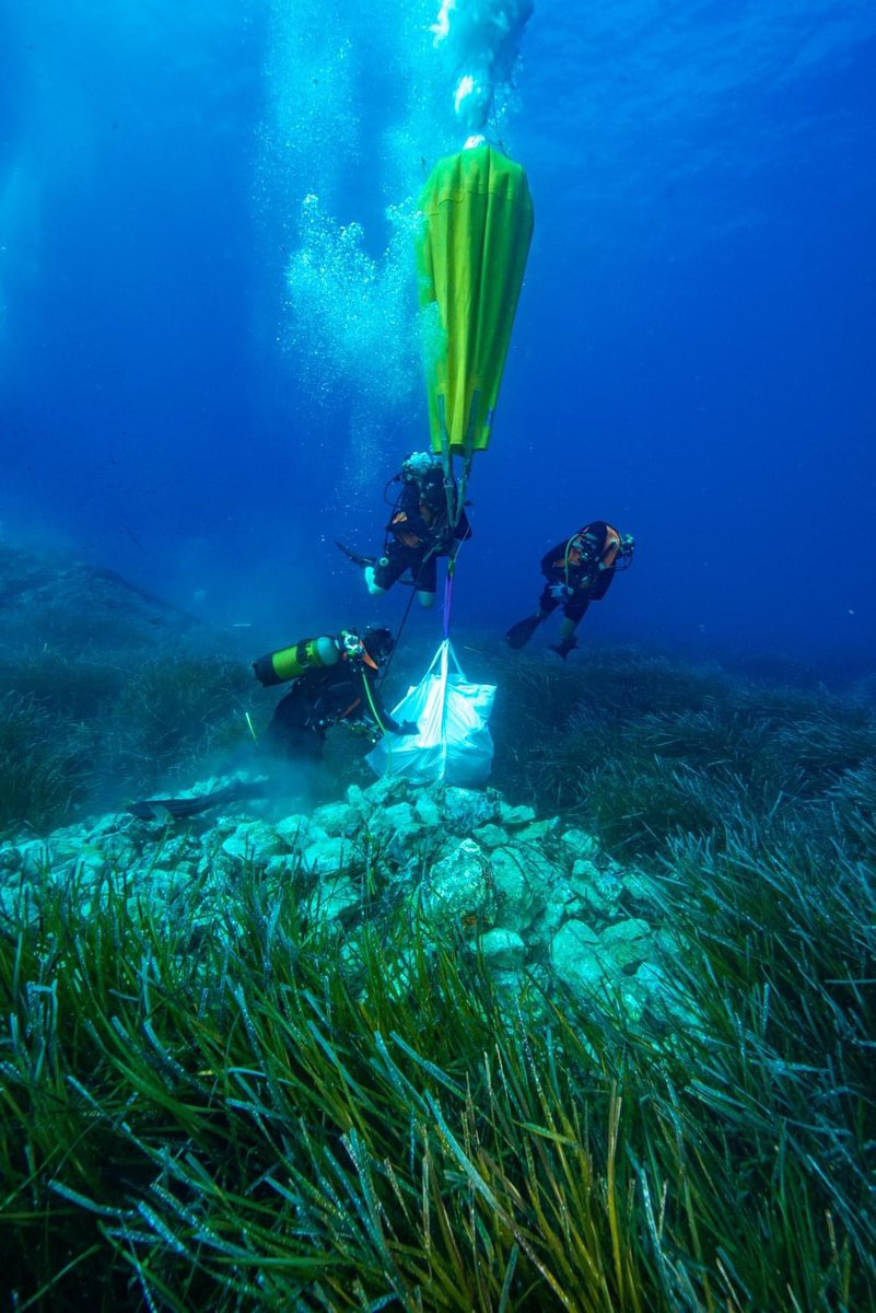 Marine Monjardé tweet media