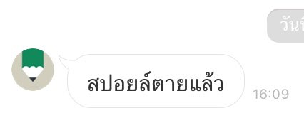 แมวตัวแรกของผม…