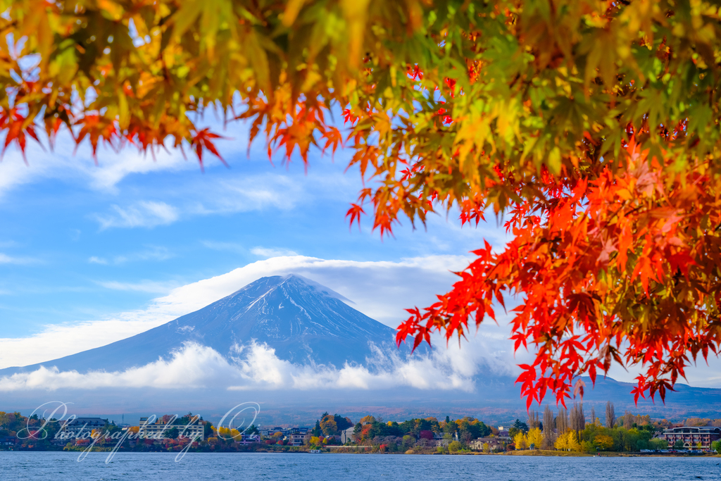 今朝の笠雲富士山と紅葉のコラボ❣