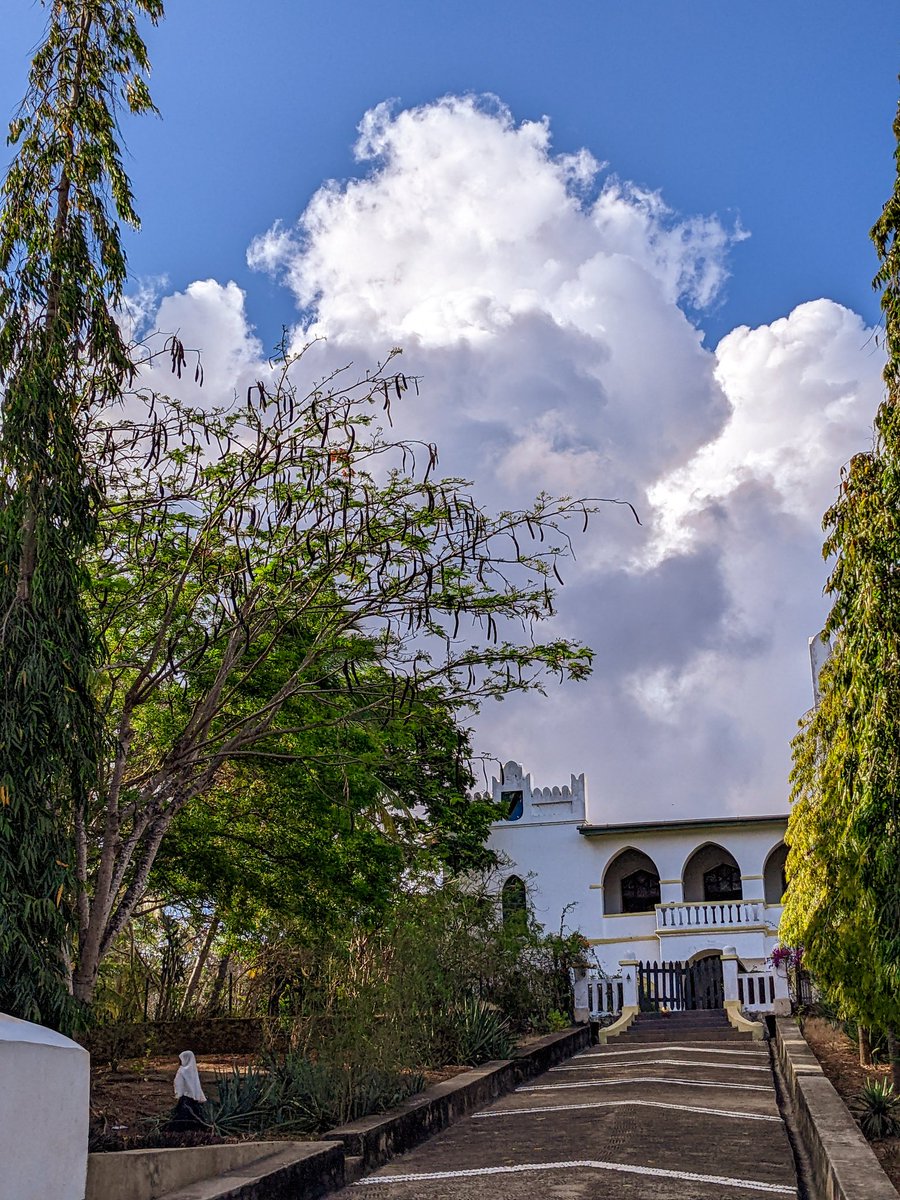 Old Boma tweet media