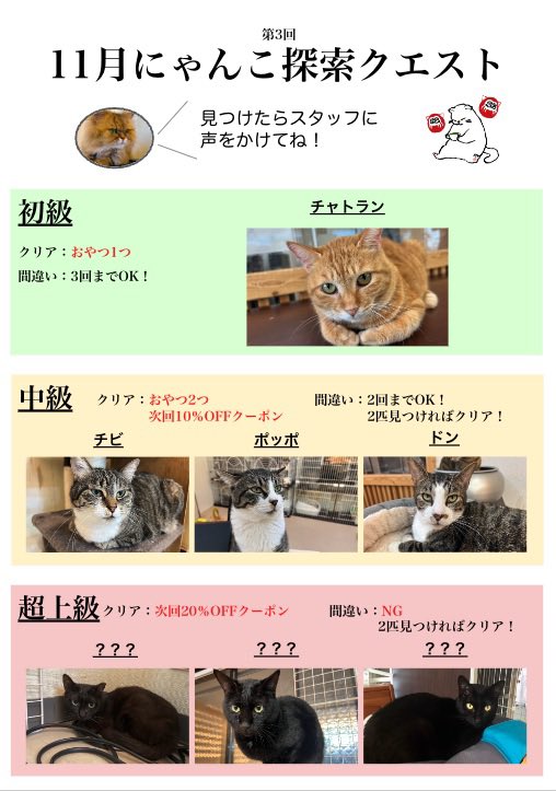 cat_cafe28's tweet photo. 超上級、、
すでに2組にクリアされてしまいました、、

絶対クリアさせないつもりで作ったのですが、、 https://t.co/2j4RpmDTyV