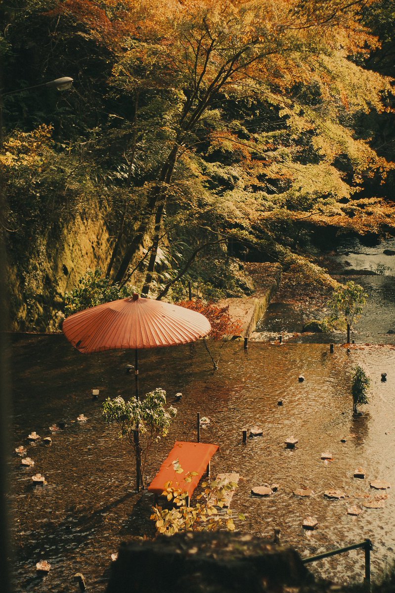 lushfoil tweet picture
