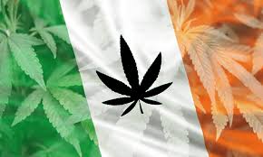 CLEARdrugpolicy's tweet photo. IRELAND. A bill that would legalise the personal use of #cannabis and make it legal for someone to possess up to 7g is set to go before the Dáil in around two weeks. #drugspolicy https://t.co/PJsEnq1snM https://t.co/VWerlSfCqf