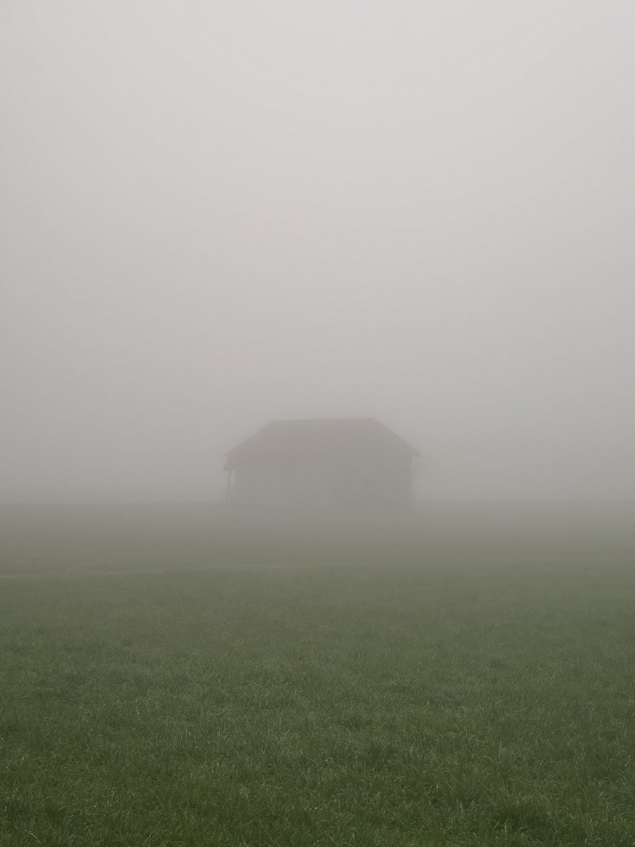 Gm frens!
Have a nice sunday.

#NFTCommunity #nftphotography #NFTphotographers #nftcollectors #nftarti̇sts