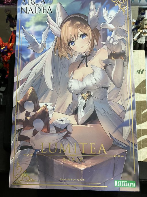 次組むのはルミティアです
誕生日になったら組むと意気込んでましたw

初版のやつなので足の付け根のパーツを正常のモノに差し替える必要がありますが、準備済み 