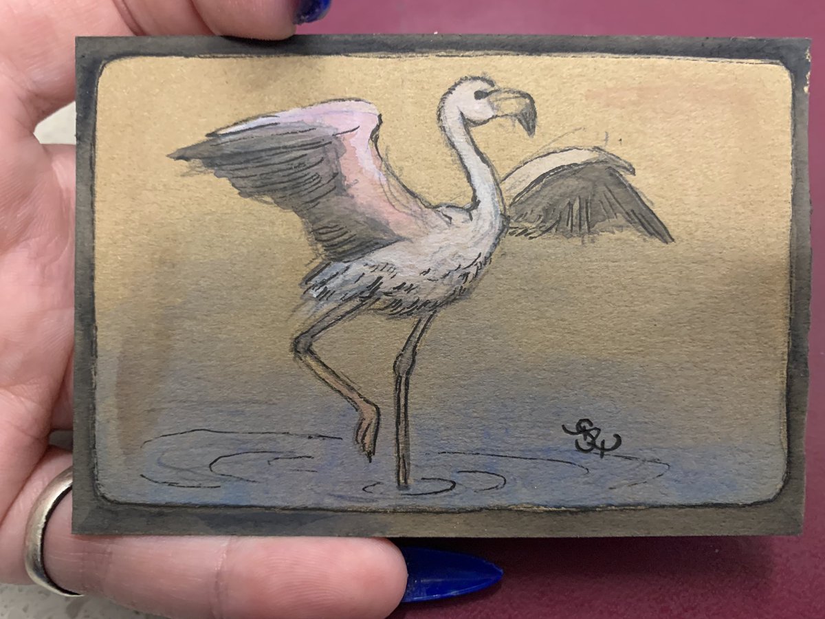 SashaRoseHansen's tweet photo. More doodles https://t.co/cZG0etziS0