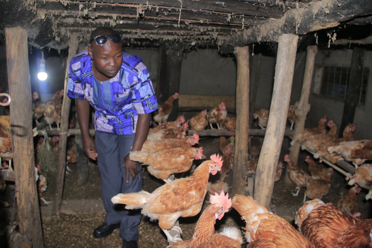 yofchan's tweet image. Meet #NdayambajeHarrison our poultry champion from Lwengo district. If you still think poultry keeping is hard, you need to meet this guy. @YOFCHAN #PoweringTheNextGenerationAgriprenuers