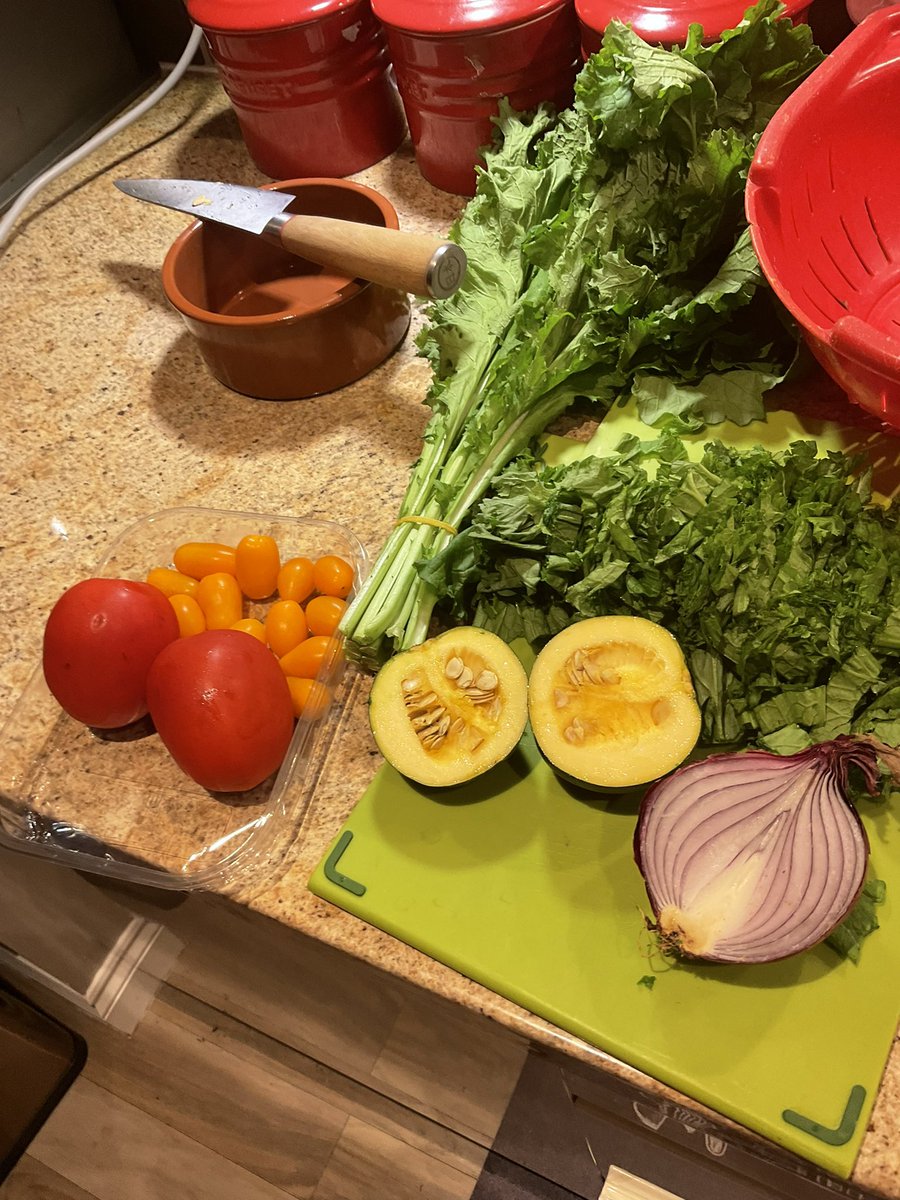 BeeNubian's tweet photo. How it started:       How it ended:   #FatBellyProject #MustardLeaves #Tsunga #Yummy #GemSquash #BeefBones #FreshFood #CookedFromScratch @leesah_zimbo @SMununuri @RegondoZiso @TeamFuloZim @nziradzemasoja @KingJayZim @voncakey #SundayLunch 🤤 https://t.co/Eq6xyBNv87