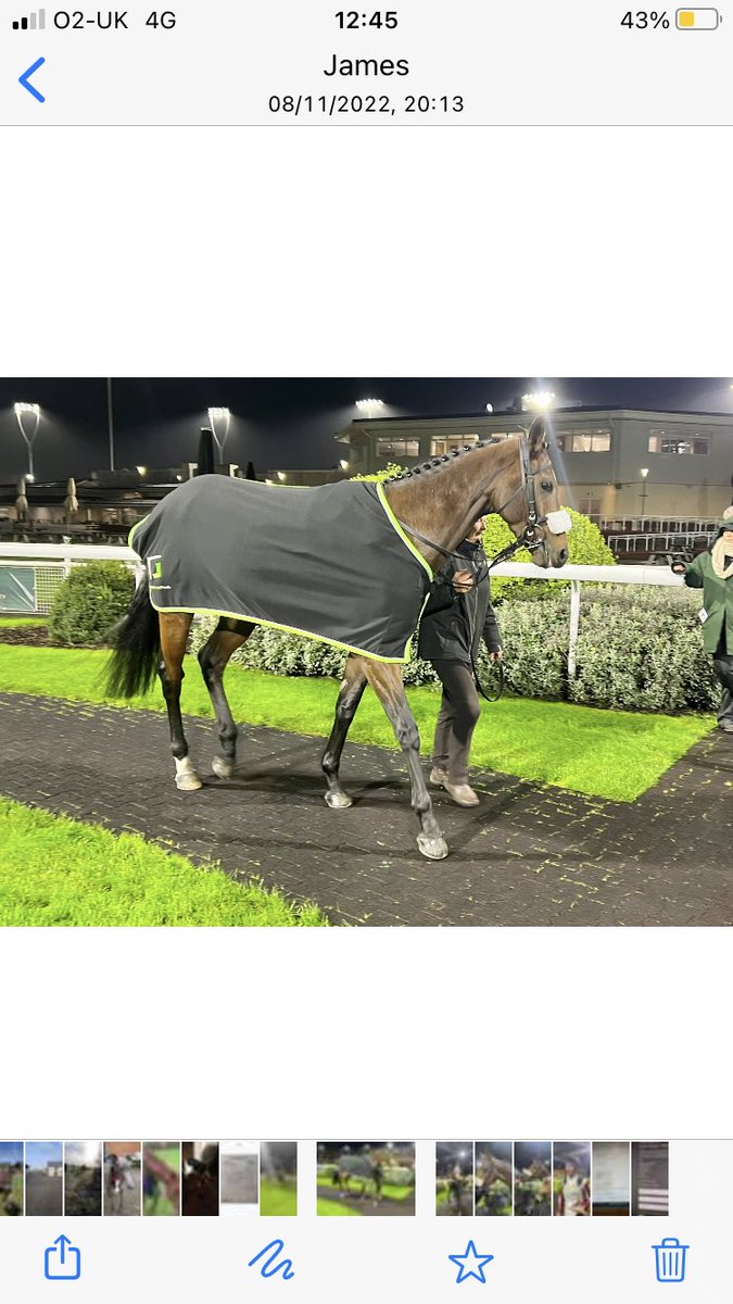 Howth, another exciting prospect privately soured for <a href="/ValueRacingClub/">Value Racing Club</a>. Others from the same source have included Pisgah Pike, Sampers Seven Boundless Power, Rock on Harry,  Settimo Milanese to name but a few.
For further information dm me
