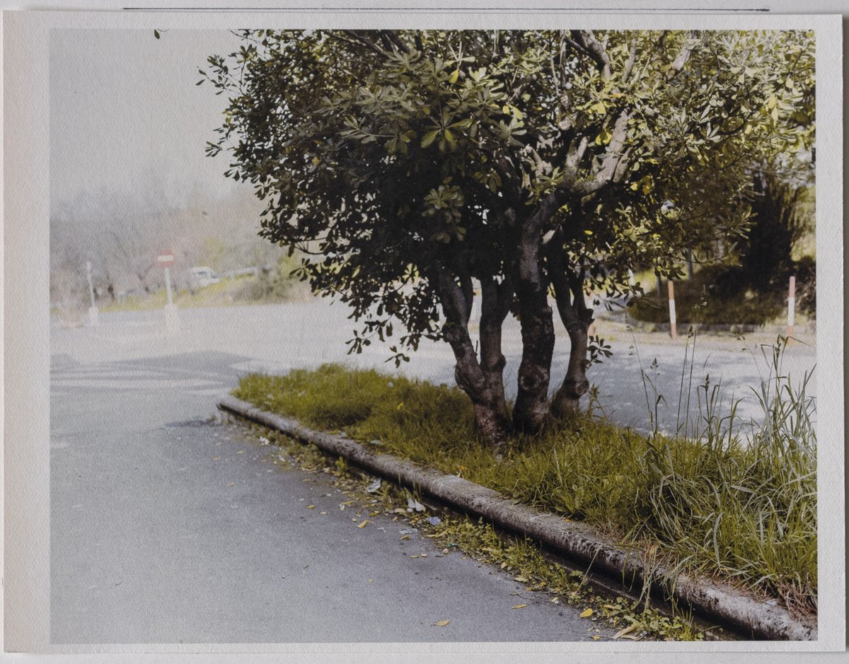 📣 Last day of Week 19 TWT Dutch Auctions!

<a href="/photo_sensitive/">Christian Martinez</a>'s full collection: opensea.io/collection/the…

Clara de Tezanos's full collection: opensea.io/collection/the…

<a href="/entanese/">entanese (WALFGMI)</a>'s full collection: opensea.io/collection/the…

⬇️ 👀