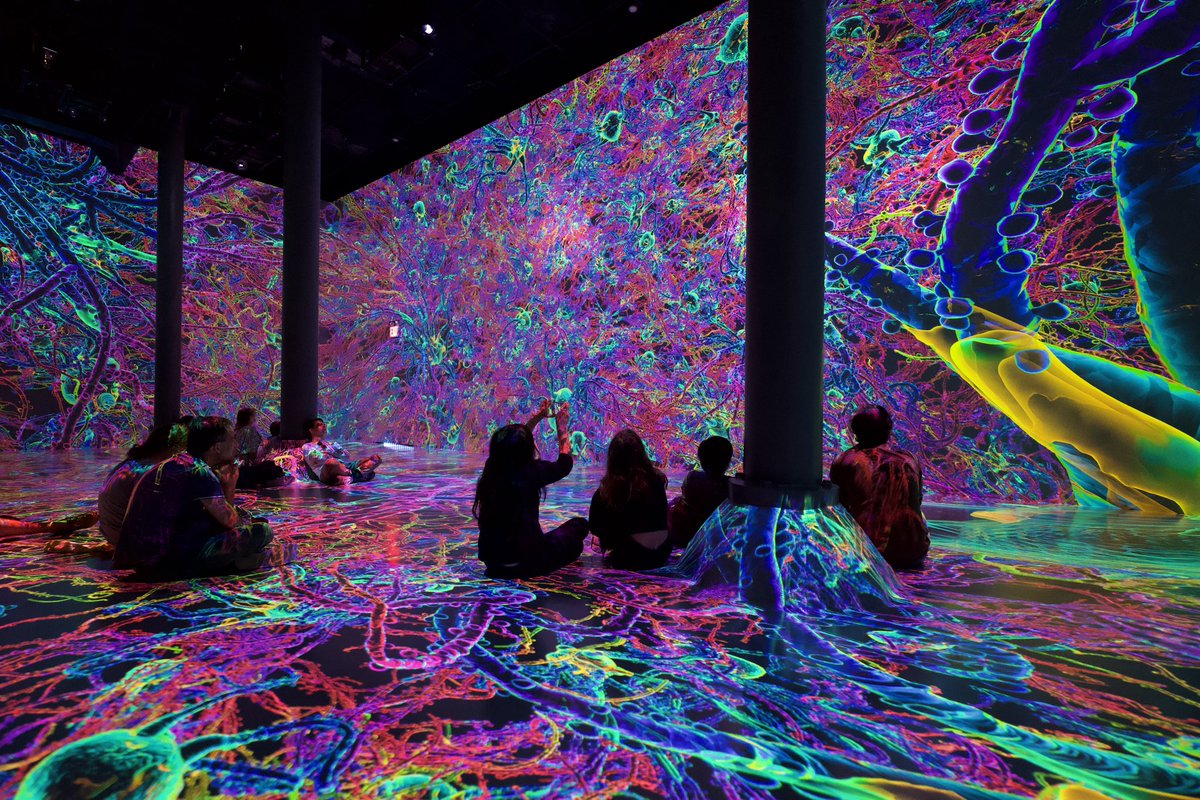 artechouse's tweet photo. Today is the final day to experience #LifeofaNeuron at #ARTECHOUSENYC (https://t.co/LrpUI9ArYX) and #AseAfroFrequencies at #ARTECHOUSEDC (https://t.co/luFmsqJVIX). Donโt miss the chance to see these exhibitions live! https://t.co/sYEpgHuIXh