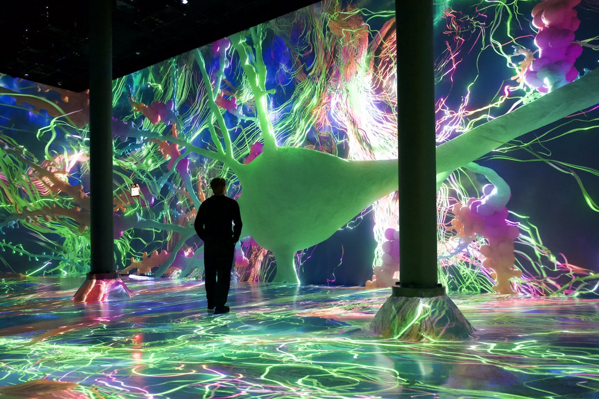 artechouse's tweet photo. Today is the final day to experience #LifeofaNeuron at #ARTECHOUSENYC (https://t.co/LrpUI9ArYX) and #AseAfroFrequencies at #ARTECHOUSEDC (https://t.co/luFmsqJVIX). Donโt miss the chance to see these exhibitions live! https://t.co/sYEpgHuIXh