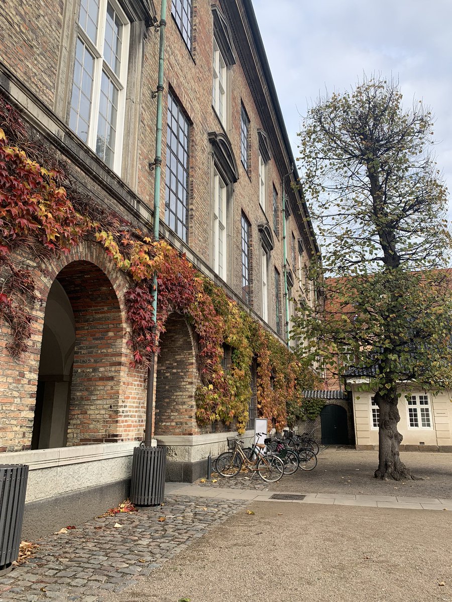 beapalmont's tweet photo. Autumn in Copenhagen ❤️ #kodan #jesen #relax https://t.co/lRgheZIiph