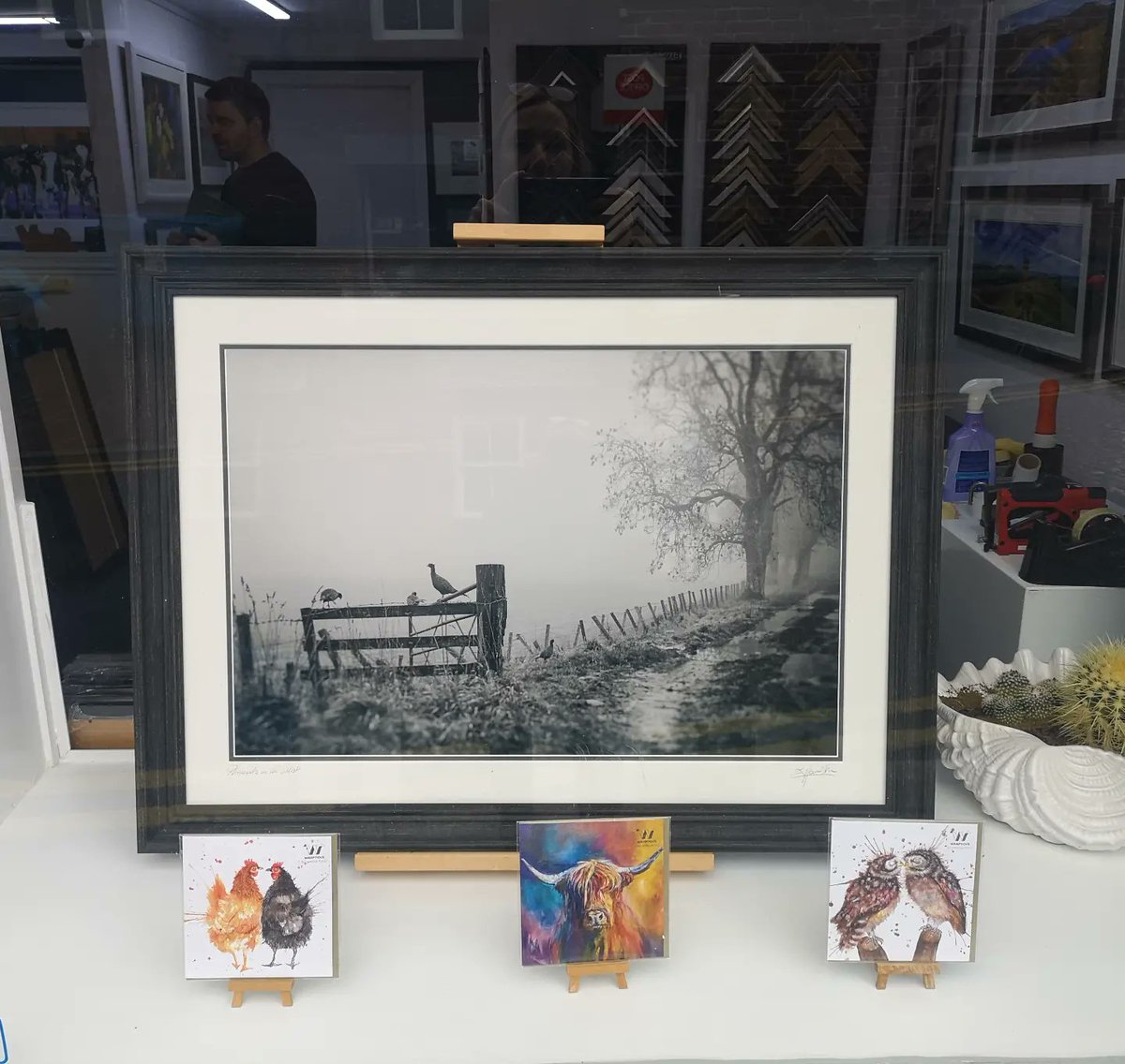 This new picture frame moulding looks fantastic paired with 'Pheasants in the mist'. 
This photograph is available to order directly from our website, as well as face to face from ourselves via our Kirrie High Street shop. 
hamiltonkerrphotography.com 🎁 #Scotland  #photooftheday