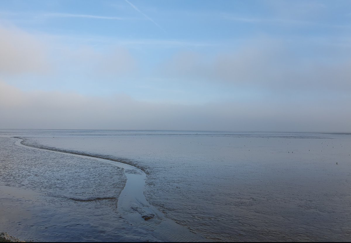 MarjoPotma's tweet photo. Heerlijk wandelen bij de #Waddenzee #Moddergat Onderweg veel soorten vogels gezien https://t.co/MUcI1M5zb0