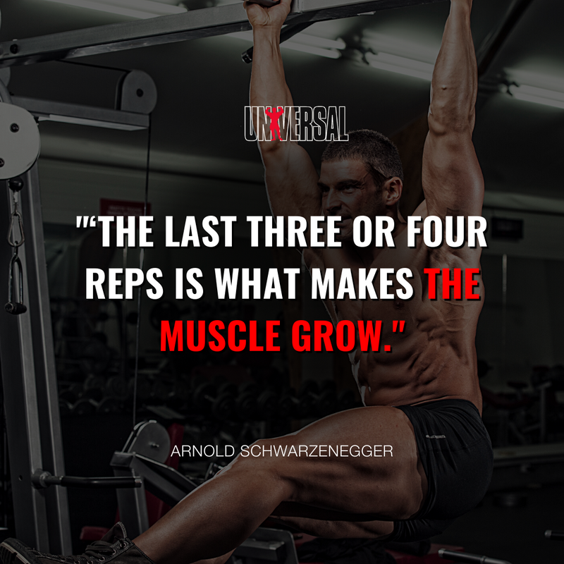 universaleurope's tweet photo. This area of pain divides a champion from someone who is not a champion. 😉
👊 Do you agree?
#UniversalNutrition #Motivation #UniversalEurope #Excercising #LoseWeight #FitnessJourney #ExcersiceRoutine https://t.co/3zK8P5O4z9