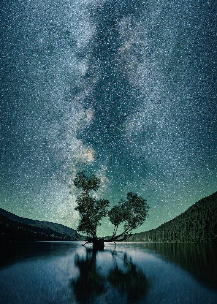 Emily Anna tweet media