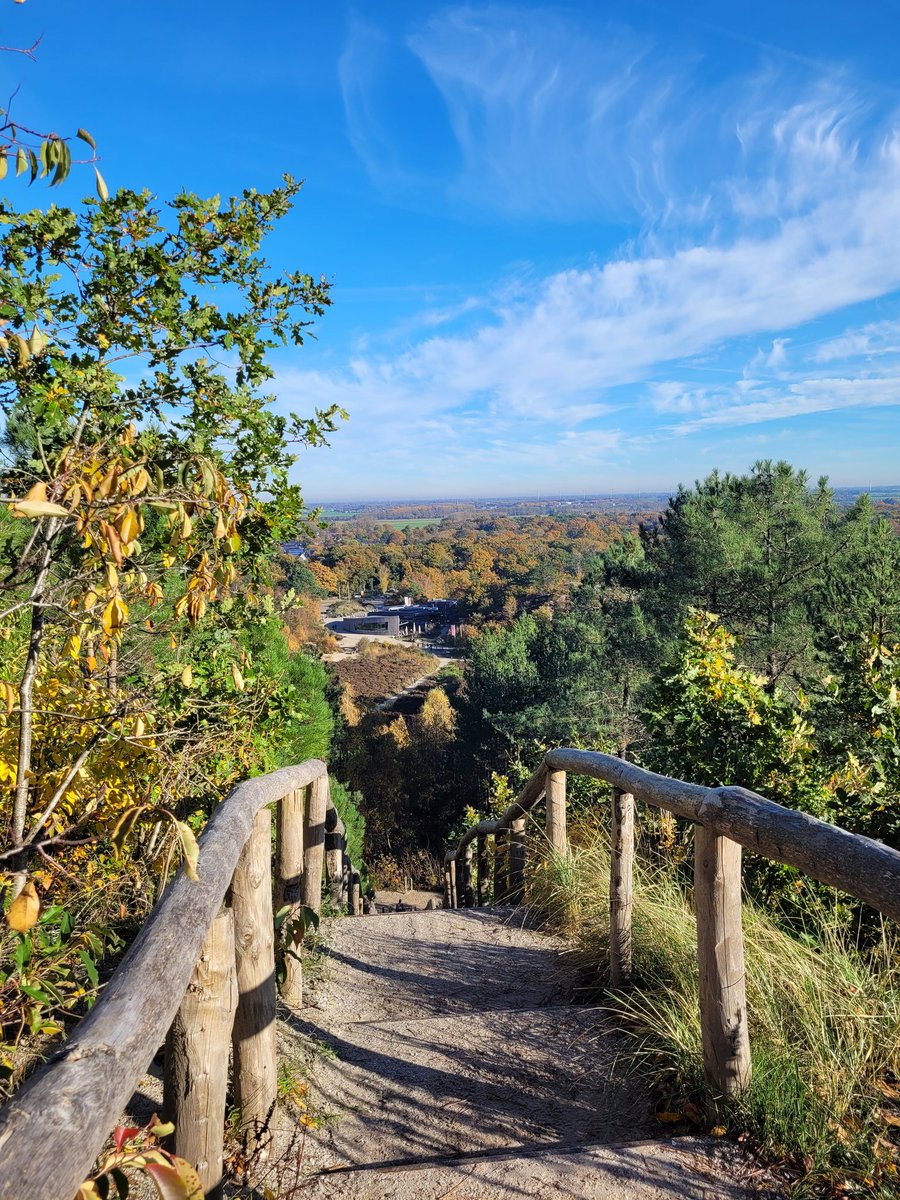 Wat een prachtige dag heerlijk gewandeld in de  #schoorlseduinen <a href="/staatsbosbeheer/">Staatsbosbeheer</a> <a href="/bosw8erpatricia/">Patricia v. Lieshout🌱</a> groene route linksom.