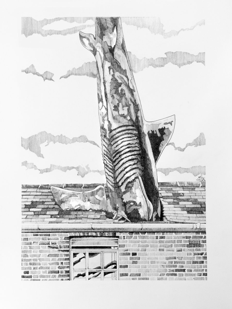 GHughesPhoto's tweet photo. A new picture - #TheHeadingtonShark. Again.
This time in #fineliner #unipin pens on @strathmoreart #stathmore #britsol paper.
Available in A4 and A3 giclée prints from my Etsy store at
https://t.co/gVn2rQyGN3
#oxford #shark #headingtonshark #oxfordshark #bbcoxford #igersoxford https://t.co/kwdPh1Aszm