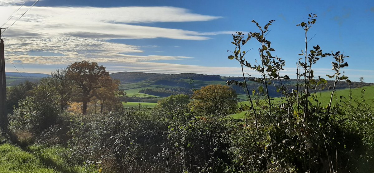 Guénaëlle Le solleu tweet media