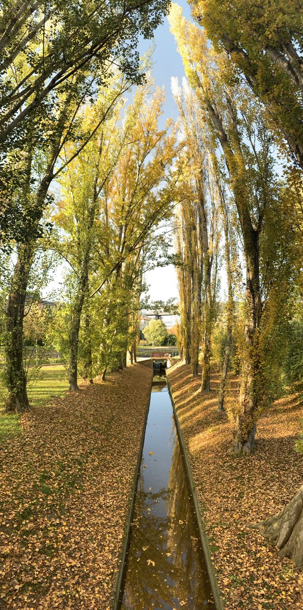#Autumn stroll in the Parc del Segre with Maria❤️