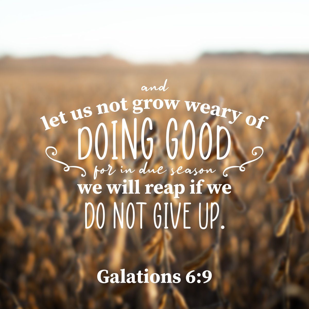 ruralkingsupply's tweet photo. Trust God's timing. Don't give up!

#GodsTimingIsPerfect #TrustHisTiming #GodsTime #Galations6v9 #Galations #RuralKing https://t.co/Oyz6q9KTn6