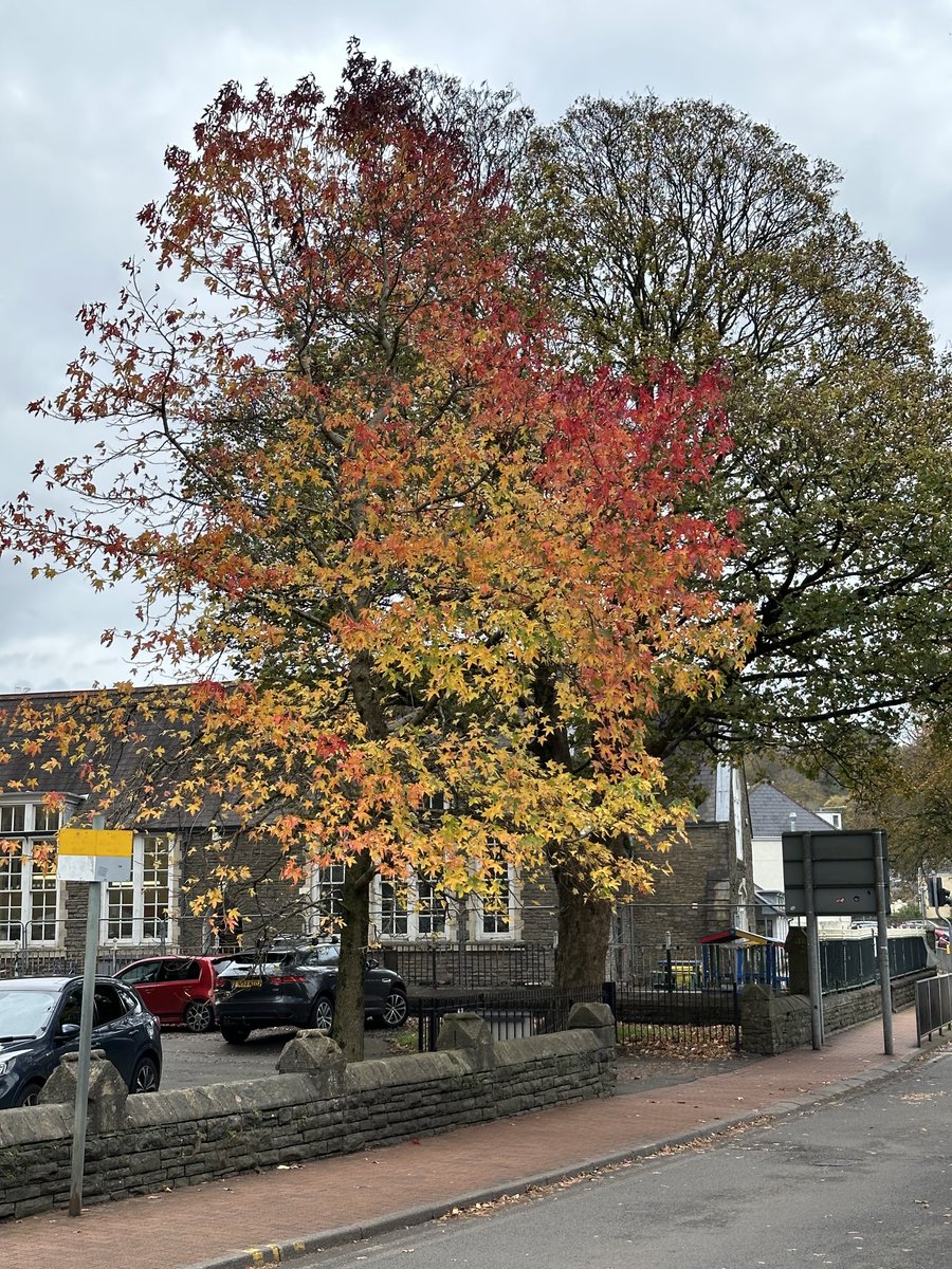 Keith Williams tweet media