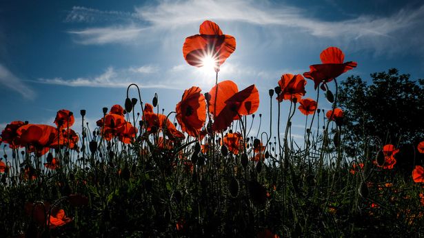 At the going down of the sun and in the morning, we will remember them.