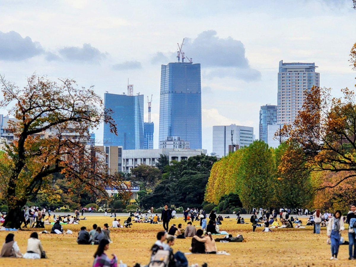 Mr_Tarinn's tweet image. 新宿御苑から虎麻ヒルズ
これまで御苑で意識される高層ビルってドコモタワーや西新宿の超高層ビル群でしたけど、六本木方面もかなりの存在感になりましたね
距離考えたらこんなに大きく見えるなんてちょっと意外でした。さすが300m級！

ちなみに今年の紅葉はちょっとまだらな感じでした…🍂#新宿御苑