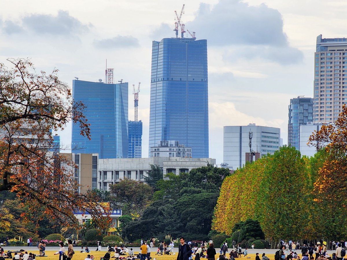 Mr_Tarinn's tweet image. 新宿御苑から虎麻ヒルズ
これまで御苑で意識される高層ビルってドコモタワーや西新宿の超高層ビル群でしたけど、六本木方面もかなりの存在感になりましたね
距離考えたらこんなに大きく見えるなんてちょっと意外でした。さすが300m級！

ちなみに今年の紅葉はちょっとまだらな感じでした…🍂#新宿御苑