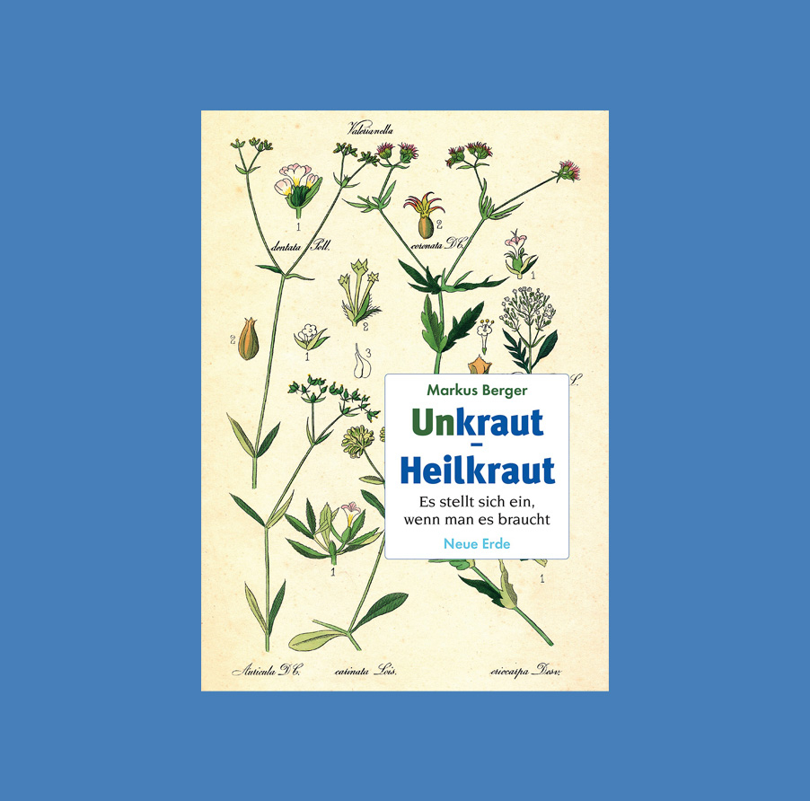 neue_erde's tweet photo. #markusberger #unkraut #heilkräuter #neueerde #ökologie #lebensfreude #bücher #bücherliebe #lesen #weg #spirituelleökologie #neueerdeverlag #natur https://t.co/KuzFvcZvVU
