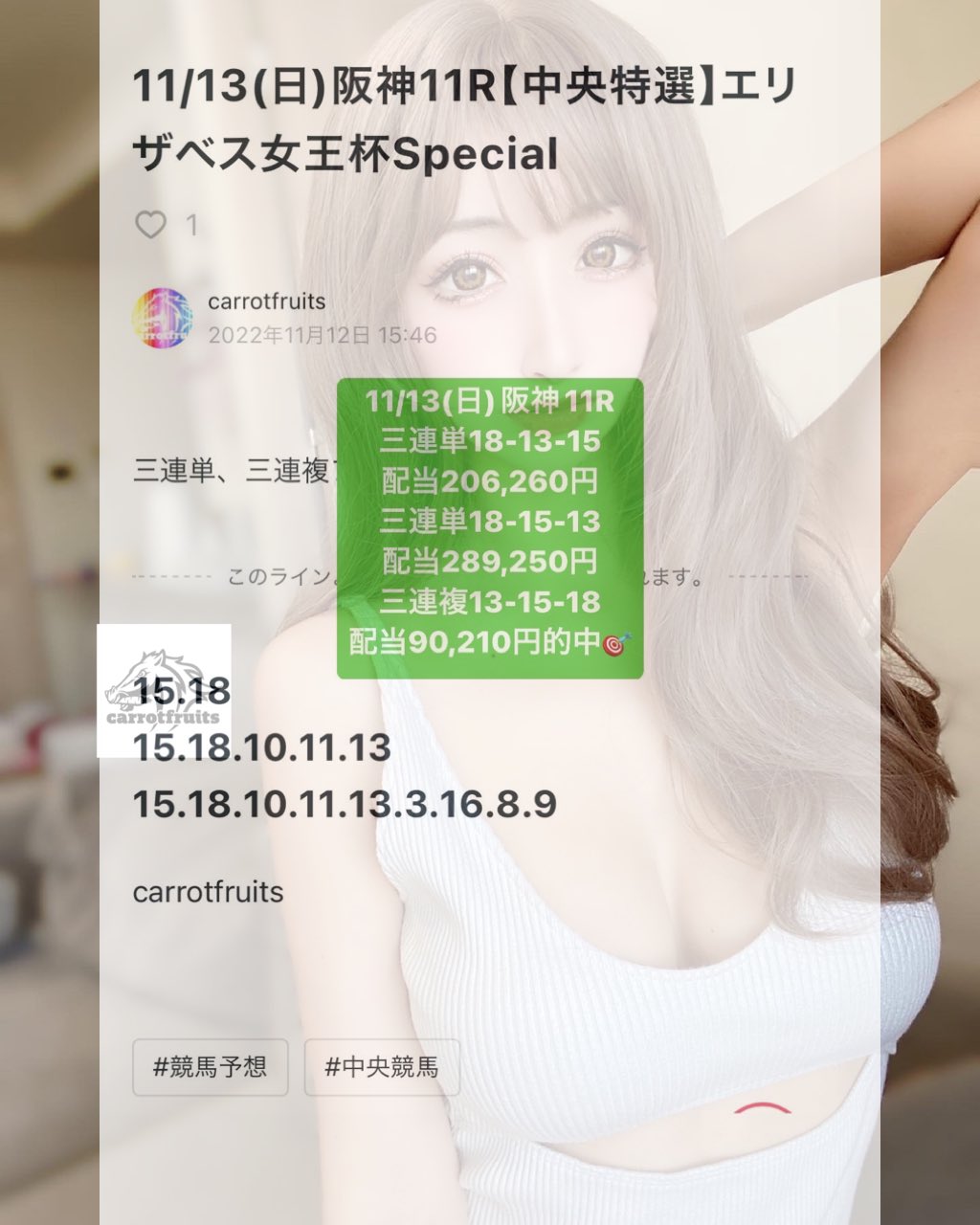 ふーか❀本日開運日ホーホケキョ桃❀ダブル八角フトマニ図 ふーか様専用❀本日開運日ホーホケキョ桃❀ダブル八角フトマニ図
