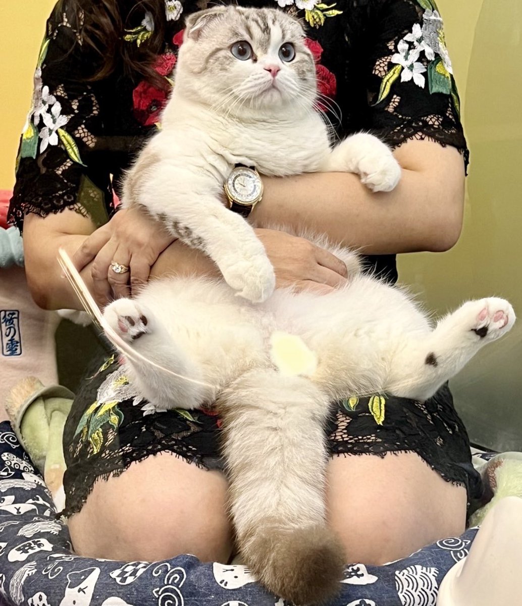AgmilyAa's tweet photo. ขอเรียกสิ่งนี้ว่าความหลง(รัก)🧸🤍🧡🤎🖤🧸 https://t.co/0PFuhVF5AS