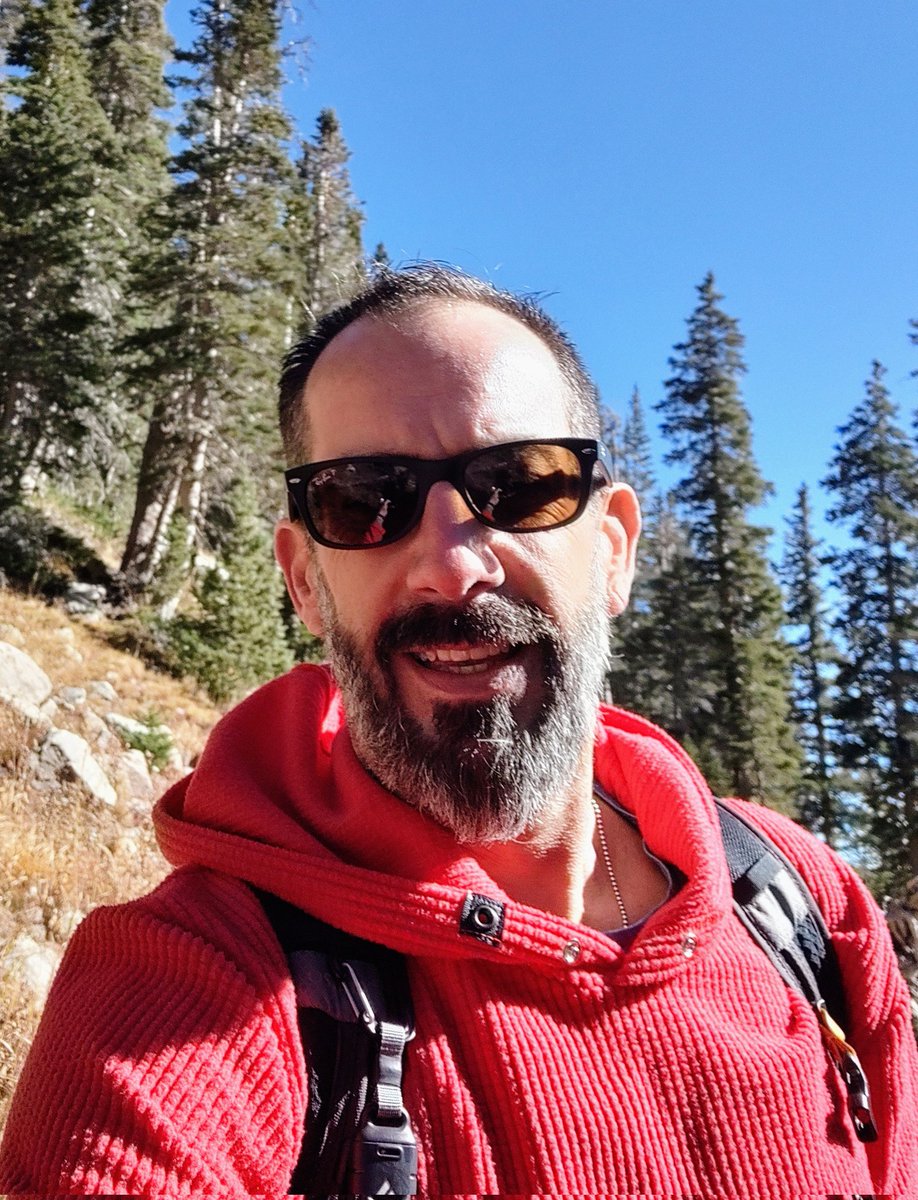 The Forest Ninja (@americantoast70) on Twitter photo 