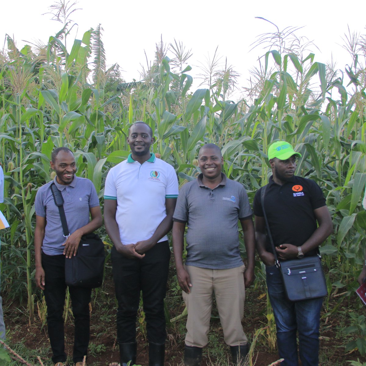 yofchan's tweet image. #AllanMuhoozi a youth champion from Sembabule district, he says quitting his white collar job for agribusiness is the best decision he has ever made in life. He grows coffee and maize on a commercial basis. Embrace #Agric and change your life like Allan.