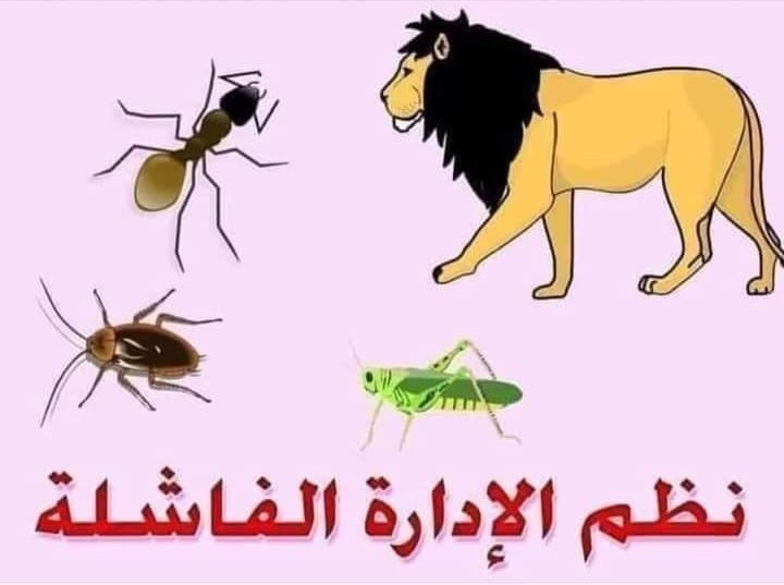 kldevcom's tweet image. 🔴 الإدارة الفاشلة ( قصة وعبرة)

كانت هناك نملة مجتهدة تتجه صباح كل يوم إلى عملها بنشاط وهمة وسعادة وتنجز. 
ولما رآها الأسد تعمل بكفاءة متناهية دون إشراف
قال لنفسه:
&quot;إذا كانت النملة تعمل بكل هذه الطاقة دون أن يشرف عليها أحد فكيف سيكون إنتاجها لو عينت مشرفاً؟&quot; 

أكمل القراءة 👇