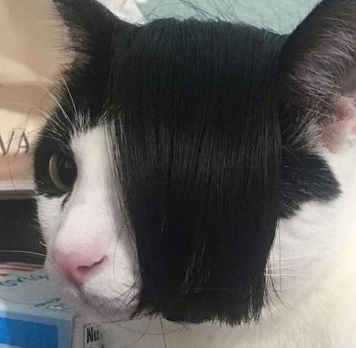 #WakandaForever #melbourneweather #rain #F1Sprint #BabarAzam𓃵 #EngvsPak