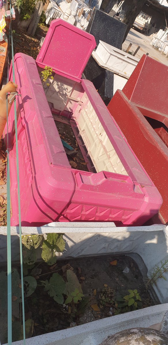 Pembe bir mezarlık gördüm rüyamda
Âşık cesetler şekerden tabutta
Gezinirken ciğerim doldu bir anda
Çürük çilek kokusuyla