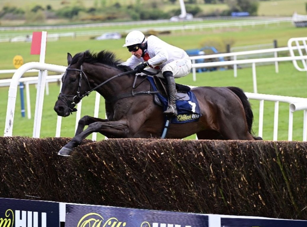 Stephen R Power (@racingblogger) on Twitter photo 💷 If NUBE NEGRA wins the SHLOER CHASE by over 15L today I'll give £50 CASH to One of you Lucky People! 🍺 
To Enter: 👇
1️⃣ RT this Tweet 
2️⃣ Follow <a href="/racingblogger/">Stephen R Power</a> 
📸 instagram.com/racingblogger
#Cheltenham #Bets #Win 🥇 💷 If NUBE NEGRA wins the SHLOER CHASE by over 15L today I'll give £50 CASH to One of you Lucky People! 🍺 
To Enter: 👇
1️⃣ RT this Tweet 
2️⃣ Follow <a href="/racingblogger/">Stephen R Power</a> 
📸 instagram.com/racingblogger
#Cheltenham #Bets #Win 🥇