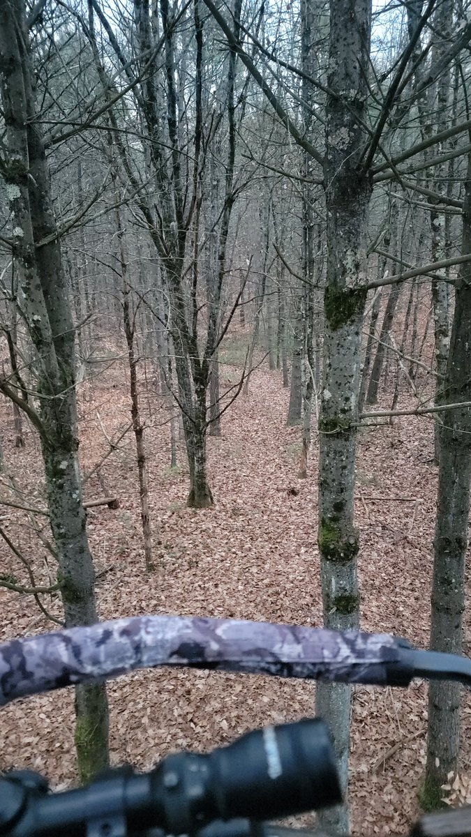 My office this morning!