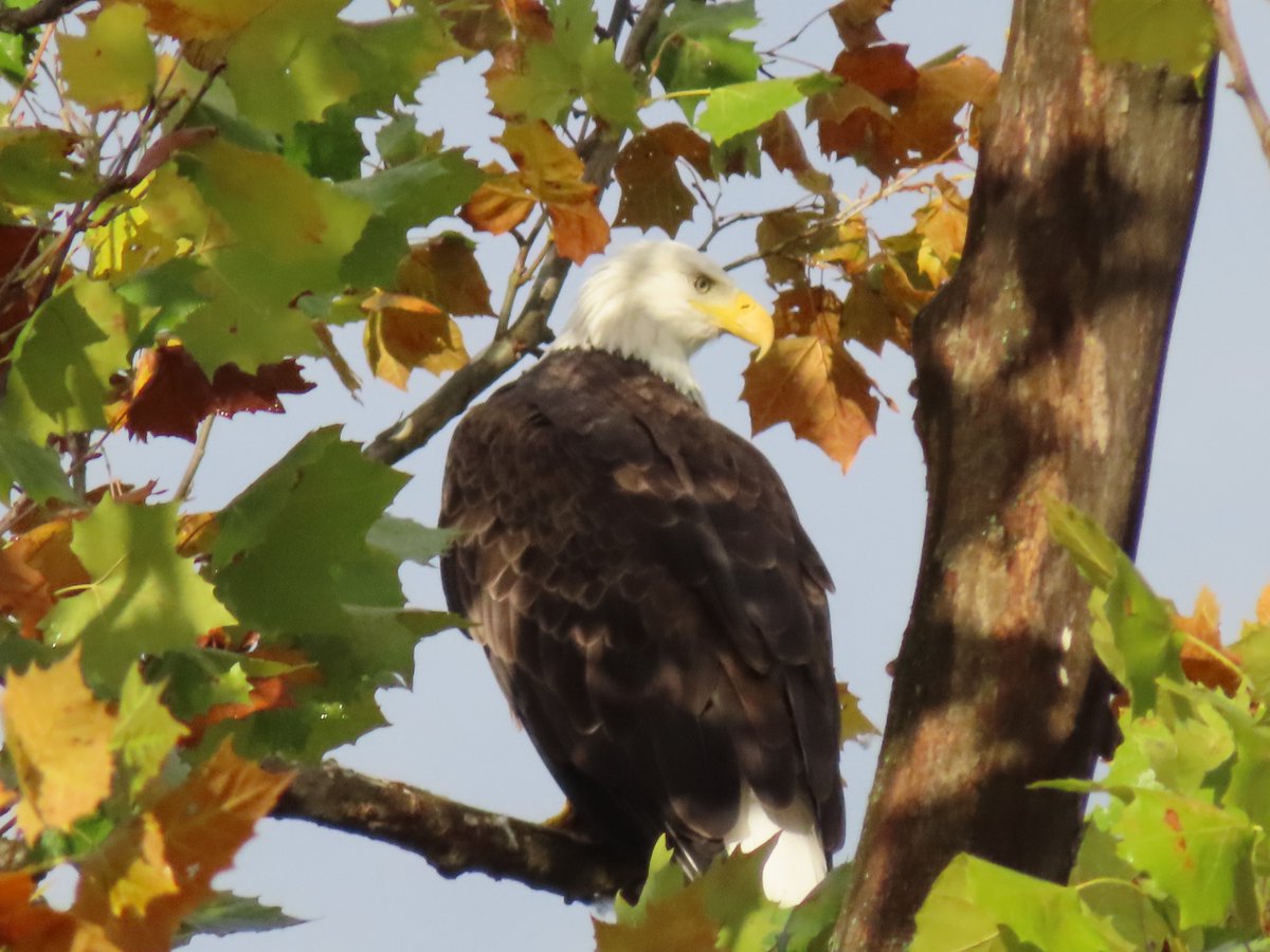 PLKlein_Author's tweet photo. "Believe in your dreams. They were given to you for a reason." ~ #KatrinaMayer #Thinkingoutloud #ThinkBIGSundayWithMarsha #quickquotes #SundayMotivation #Believe #Dreams https://t.co/lhJ5ZeRw6D