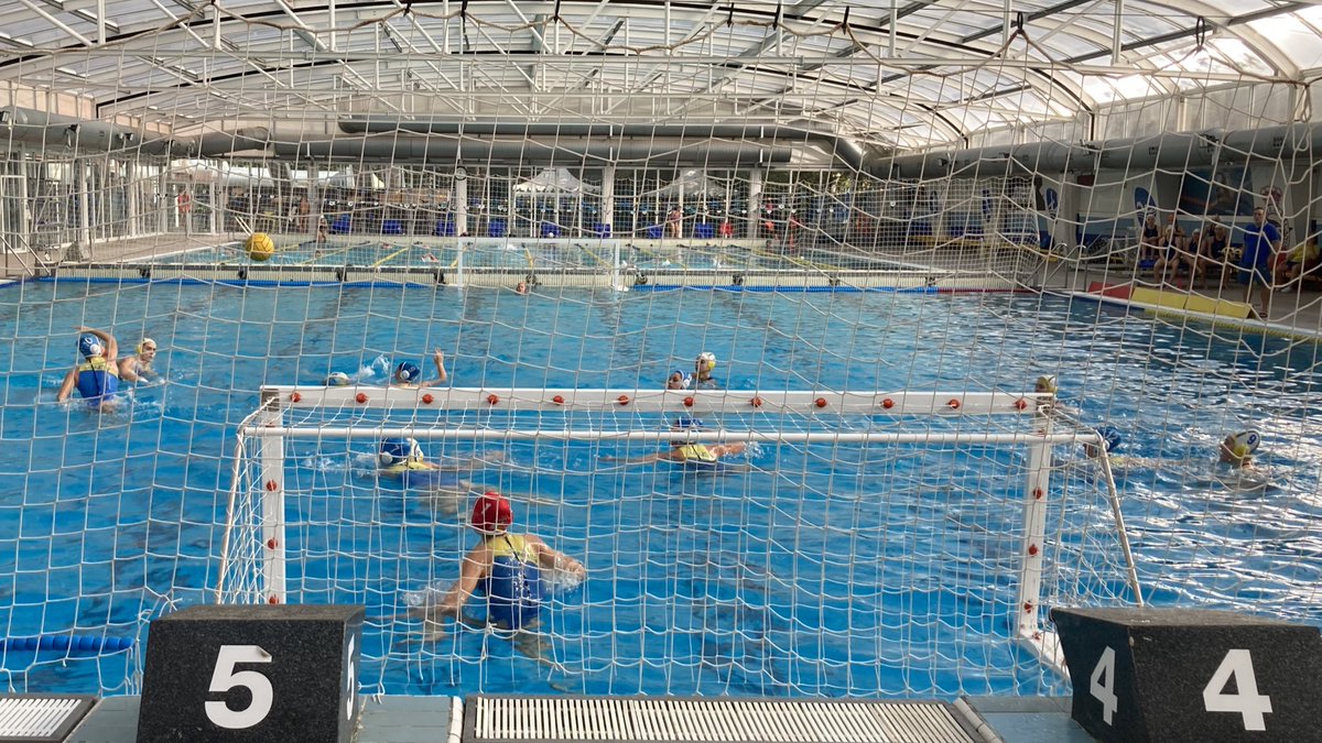 CD Natación Boadilla tweet media
