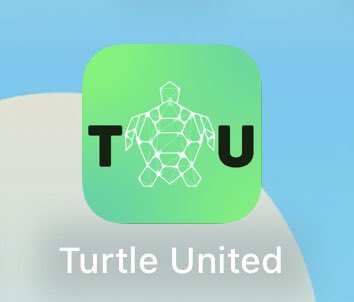 Turtle United NFT | GENESIS SOLD OUT tweet media