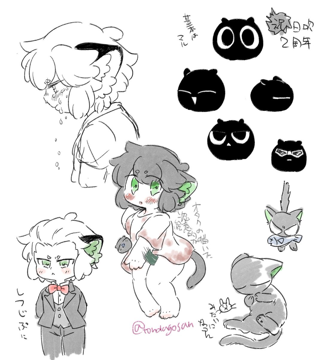 jikapunosemeをたくさんかいた