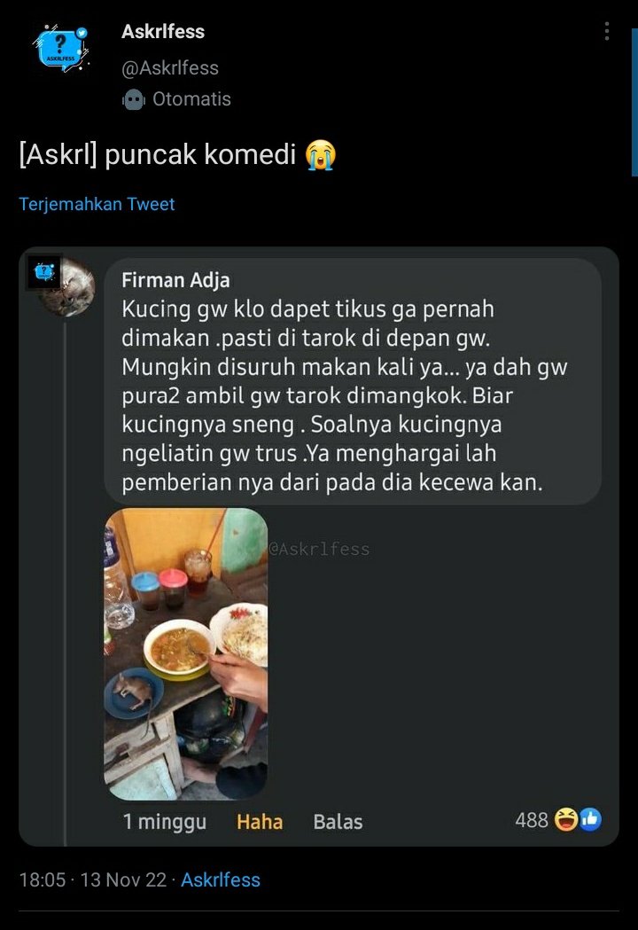 kochengfs's tweet image. 🐈 kalo kucing kalian nemu tikus, biasanya tikusnya diapain sama kucing kalian?