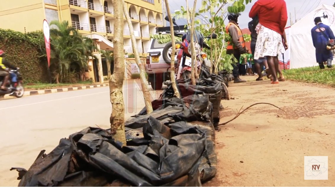 CLIMATE CHANGE FIGHT: Makindye launches tree planting campaign
#NTVNews

LINK: bit.ly/3X1ZW4r?utm_me…