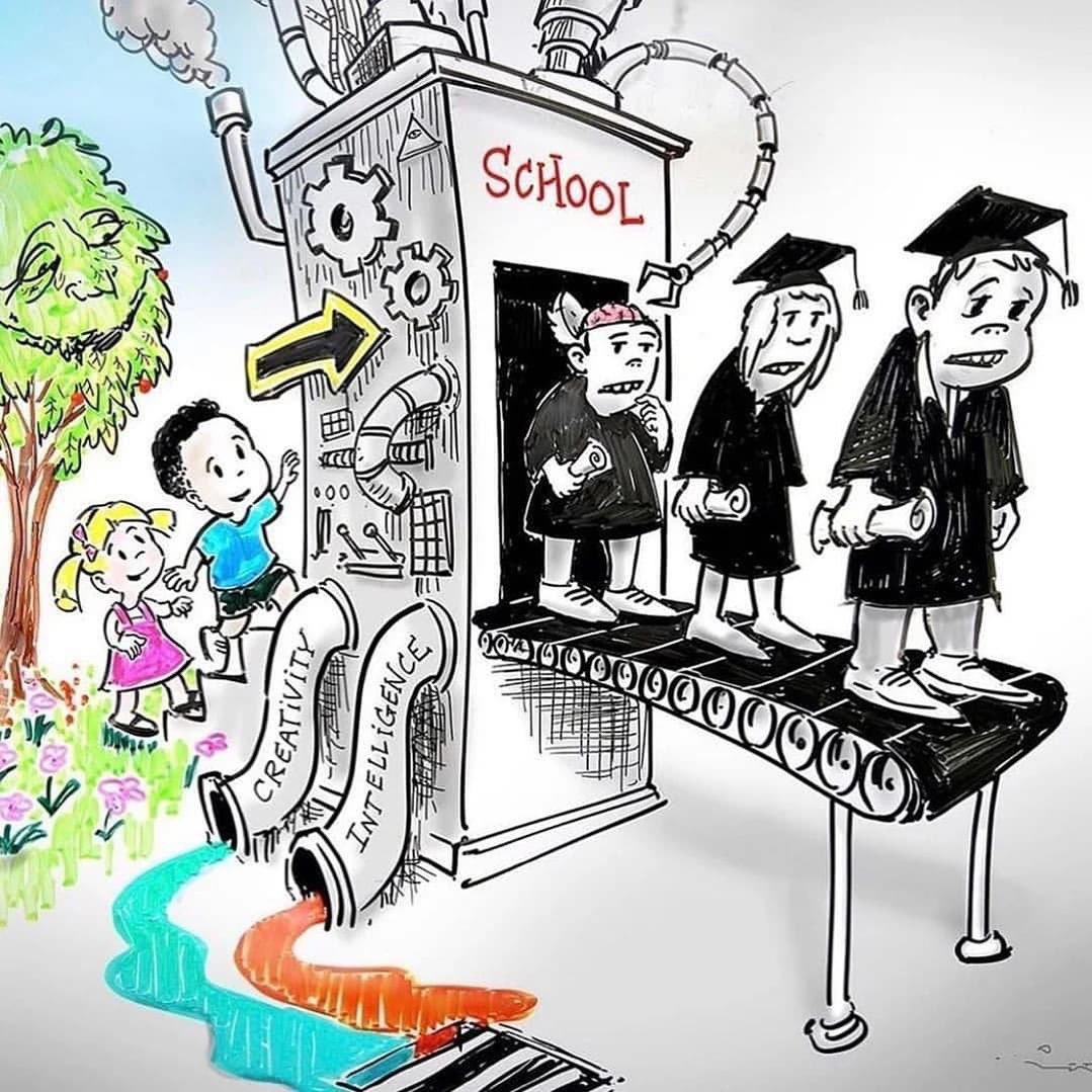 School is where dreams go to die.